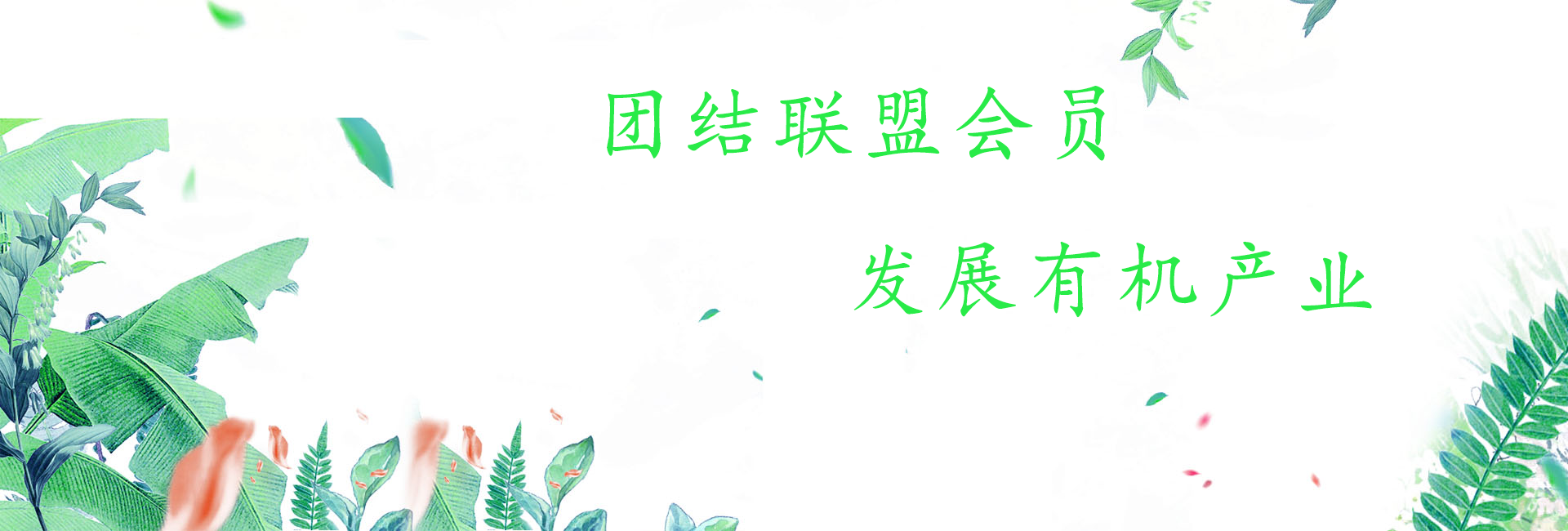 團(tuán)結(jié)聯(lián)盟會(huì)員，發(fā)展有機(jī)產(chǎn)業(yè)